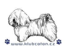 Klub Coton de Tular, o. s. 
